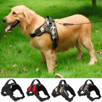 Pet Supplies Medium and Large Dog Dog Collar