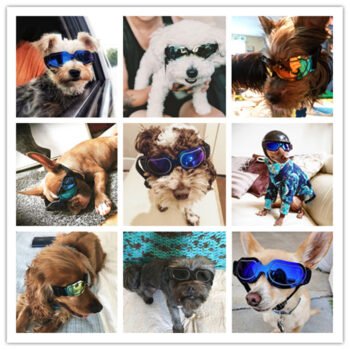 Pet supplies colorful dog glasses sunglasses Amazon cat sunglasses